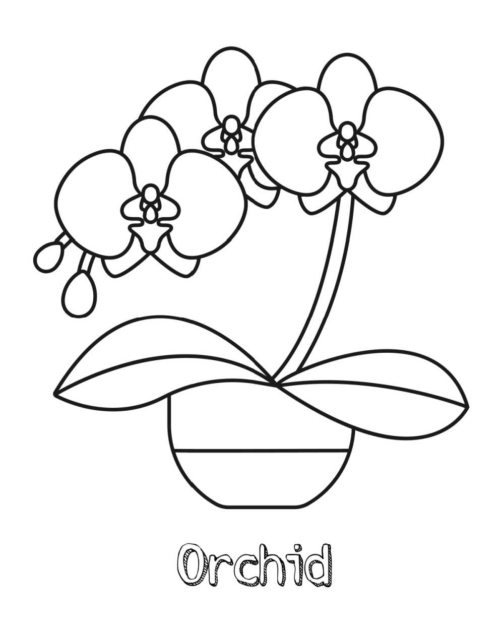 Free printable orchid coloring page