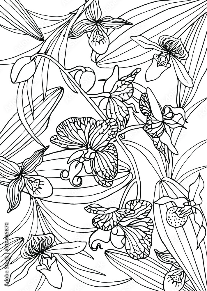 Exotic pattern with orchid flowers and leaves page of coloring book for adults and children art therapy outline drawing doodles vector background black and white illustration linear drawing vector