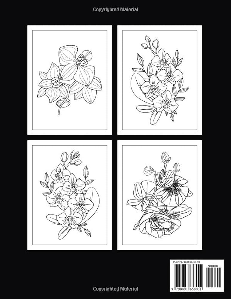 Orchid coloring book amazing orchid flower coloring book for adult easy coloring page house salma books books