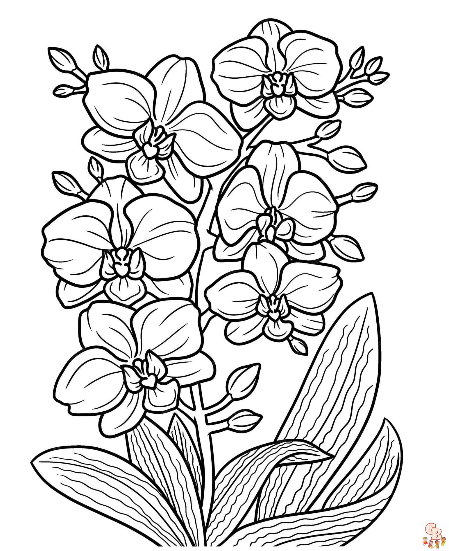 Printable orchid coloring pages free for kids and adults