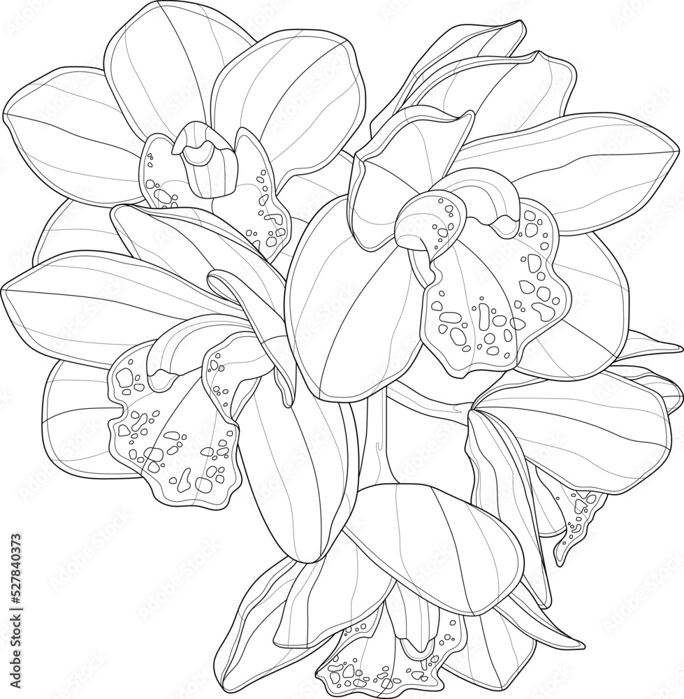 Realistic orchid flowers bouquet graphic template sketch vector illustration in black and white for games background pattern wallpaper decor coloring paper page story book print for fabrics vector