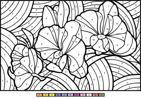 Orchid color by number free printable coloring pages