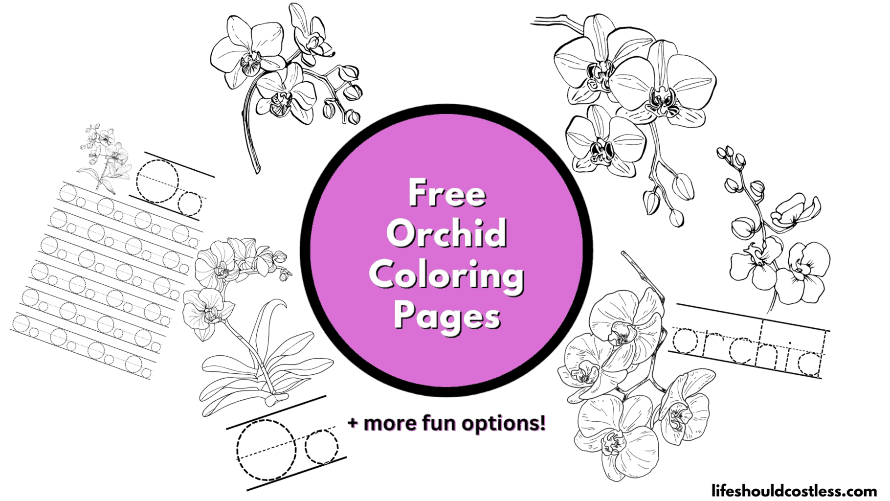 Orchid coloring pages free printable pdf templates