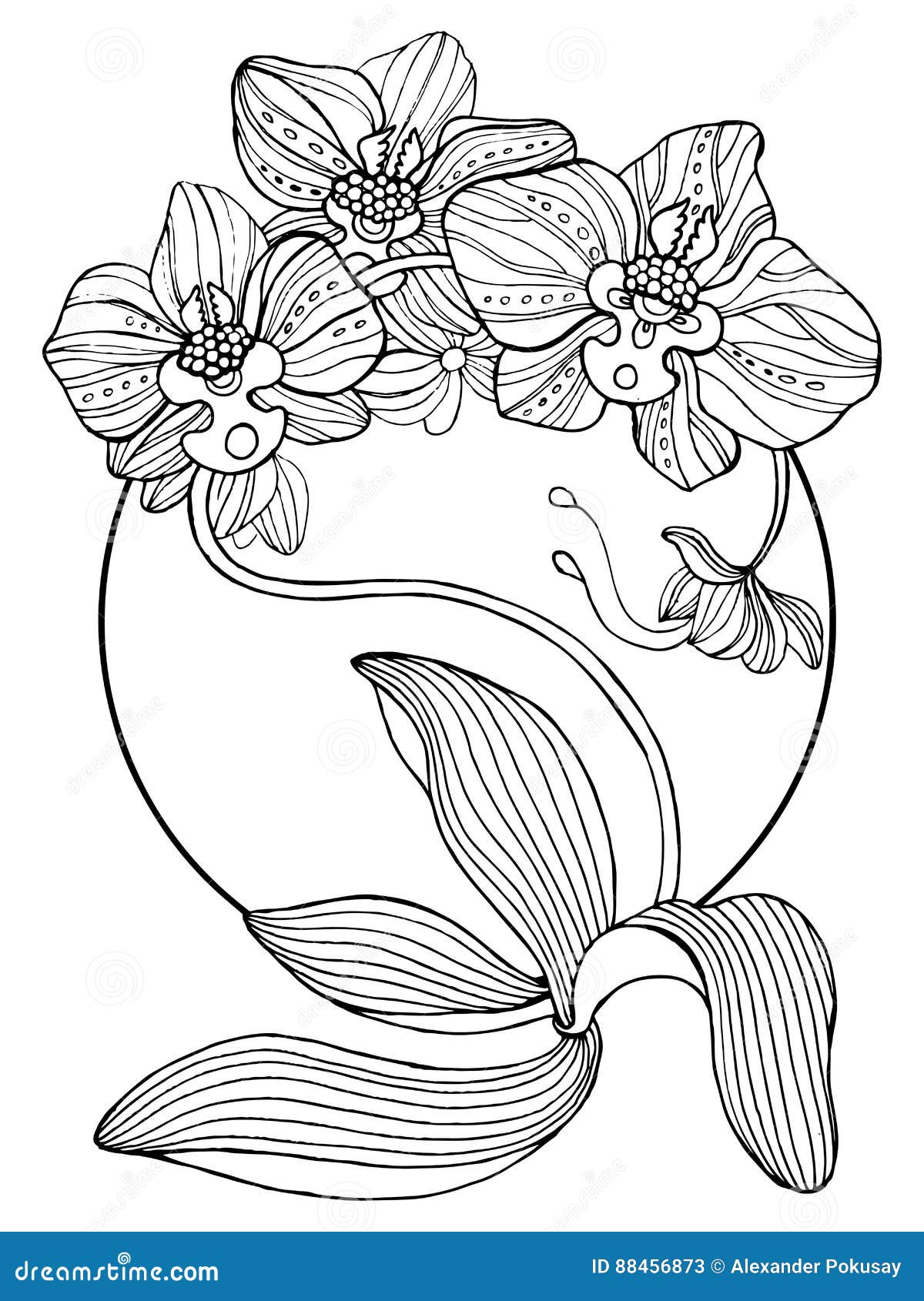 Orchid stencil stock illustrations â orchid stencil stock illustrations vectors clipart