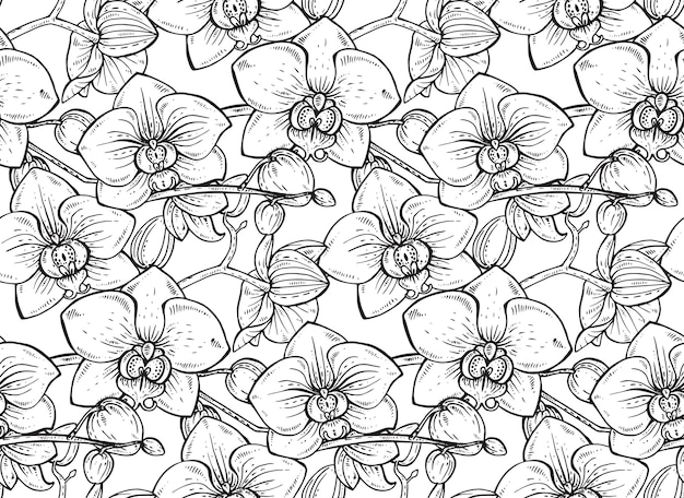 Premium vector floral seamless pattern with hand drawn orchid branches with flowers for fabrics textiles paper beautiful black and white floral background