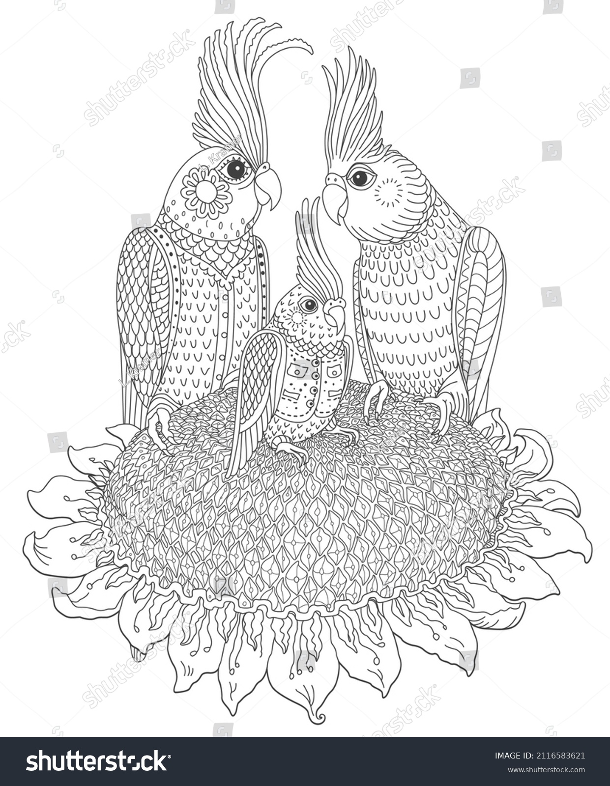 Thousand coloring pages bird adults royalty
