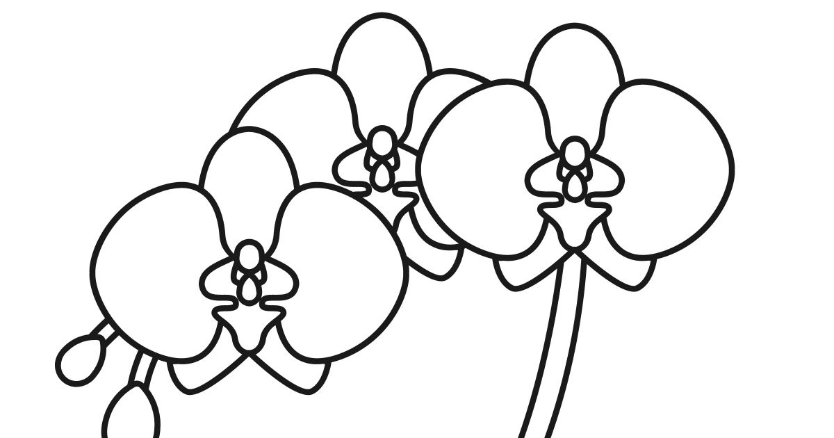 Free printable orchid coloring page