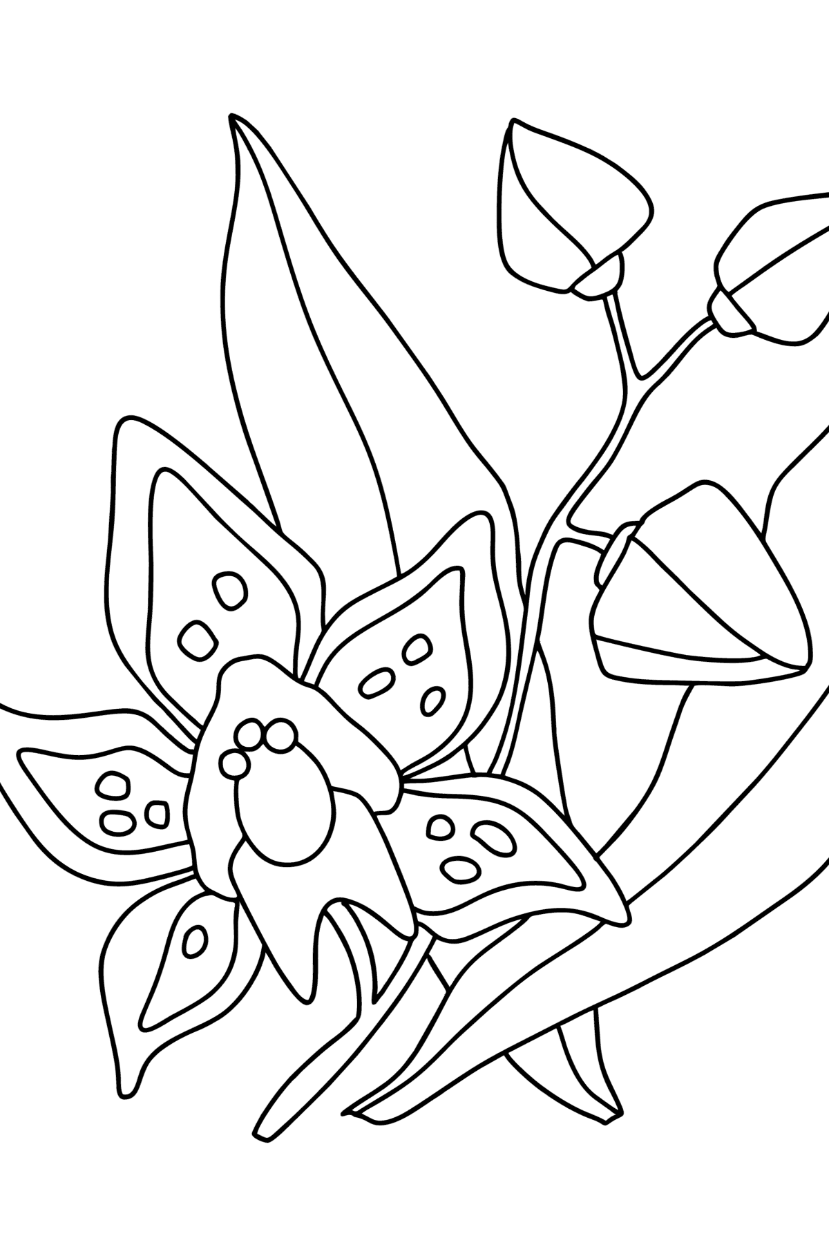 Orchid coloring page for kids