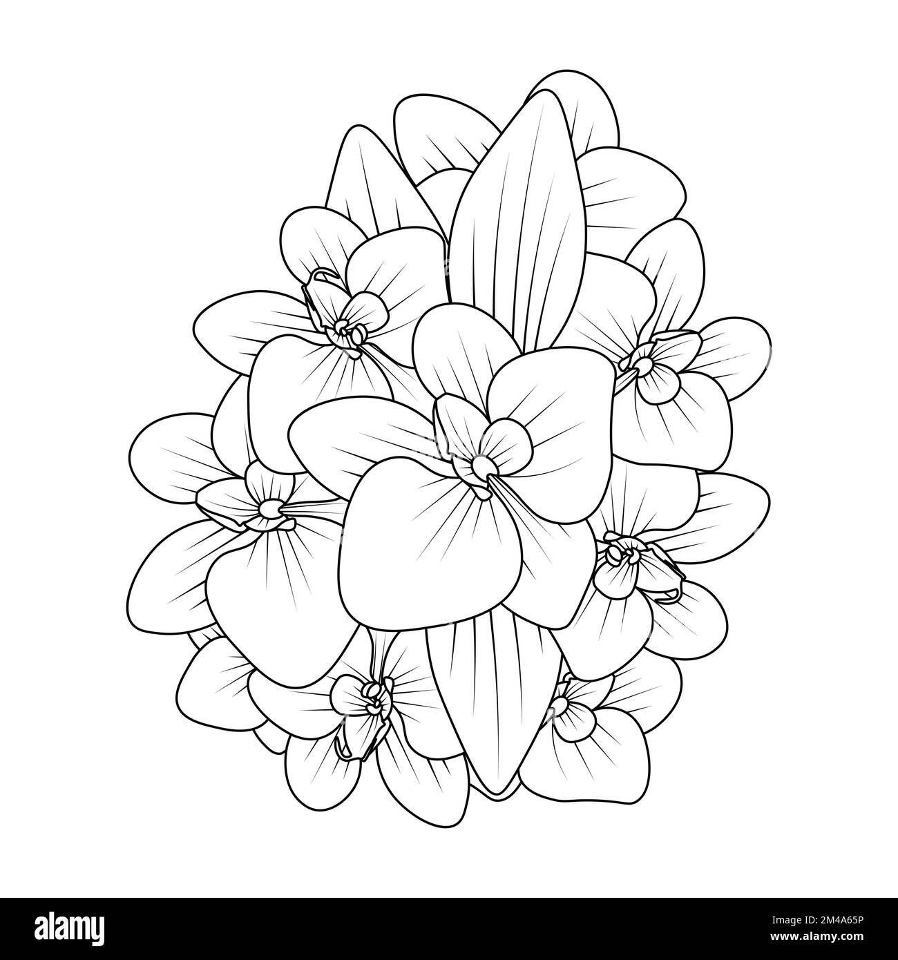 Coloring pages hi