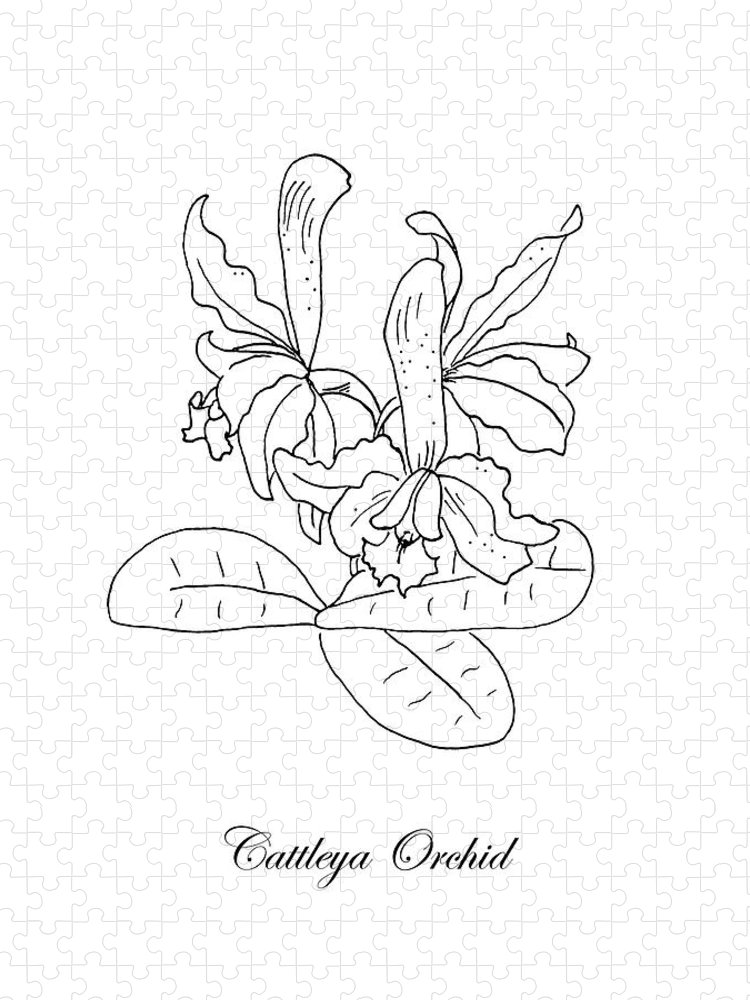Cattleya orchid botanical jigsaw puzzle by masha batkova
