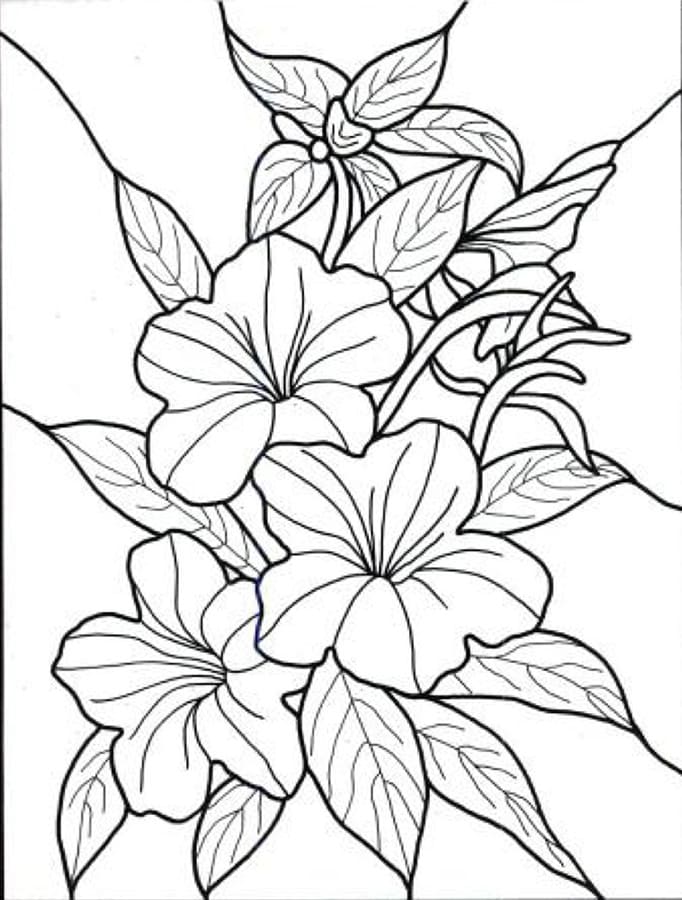 Tropical flowers a stained glass coloring book