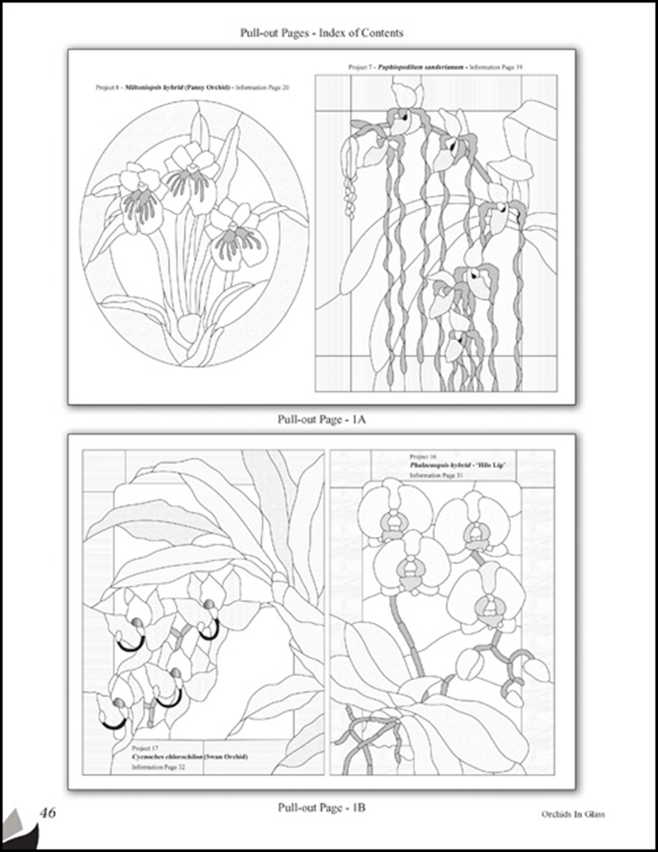 Orchids in glass â art glass love by wardell