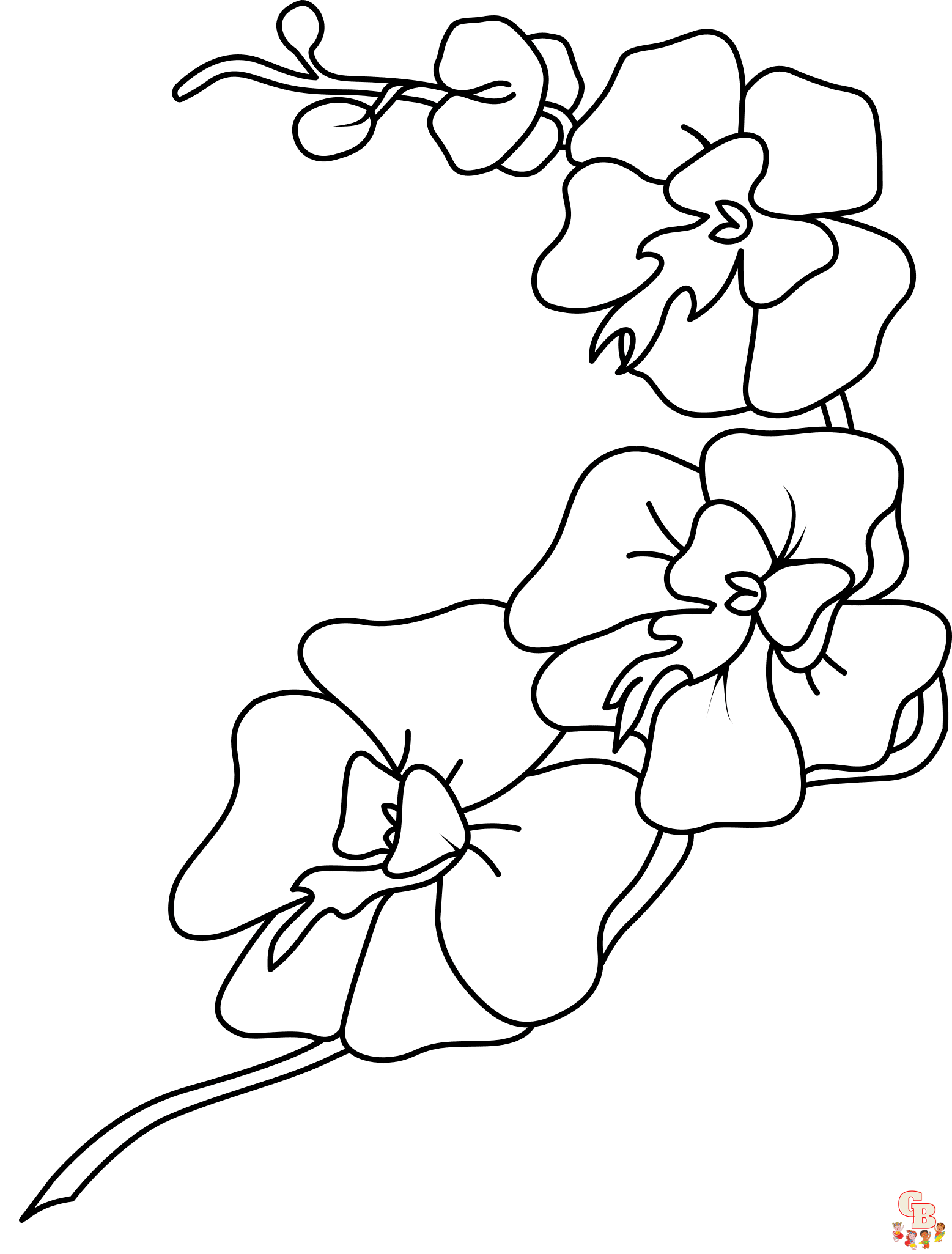 Printable orchid coloring pages free for kids and adults