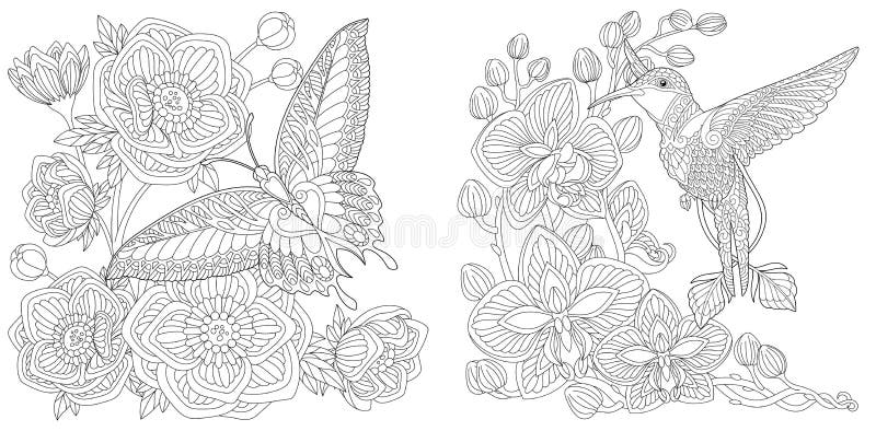 Coloring pages with butterfly and hummingbird stock vector