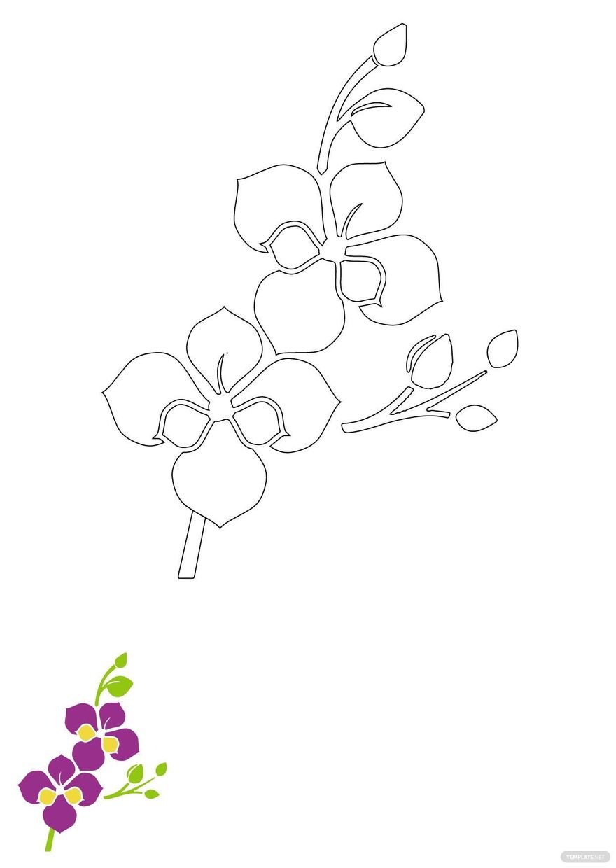 Free orchid flowers coloring page