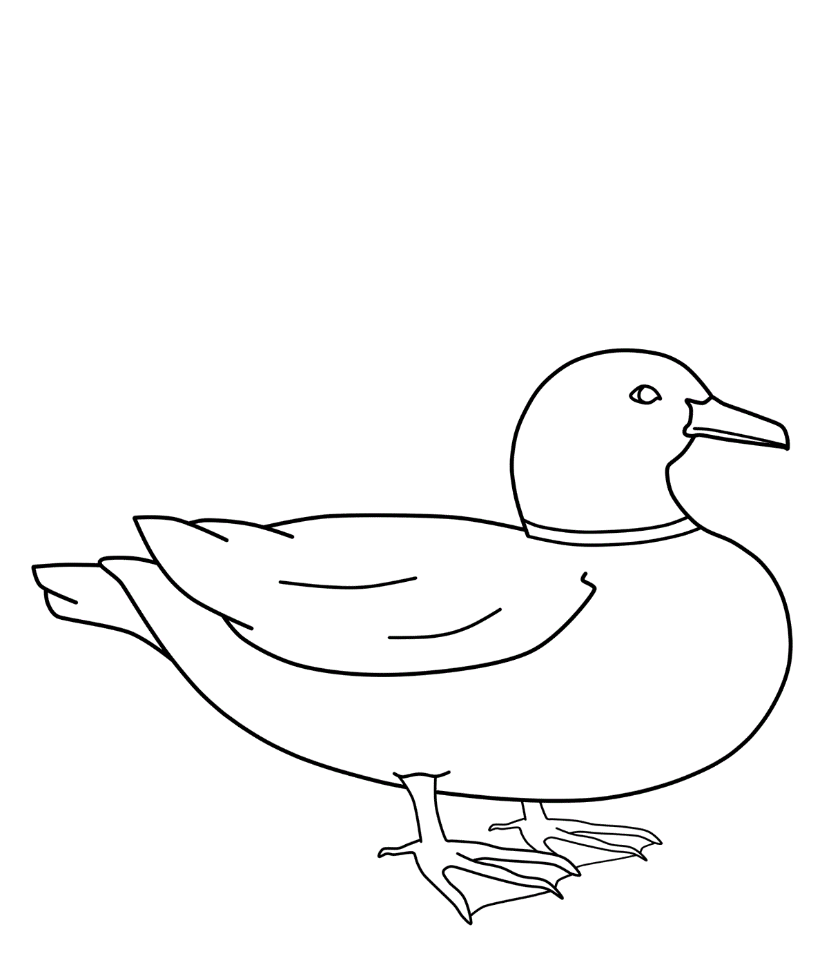 Duck coloring pages