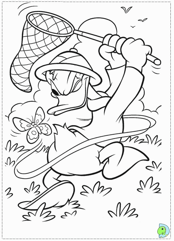 Free oregon ducks coloring pages download free oregon ducks coloring pages png images free cliparts on clipart library