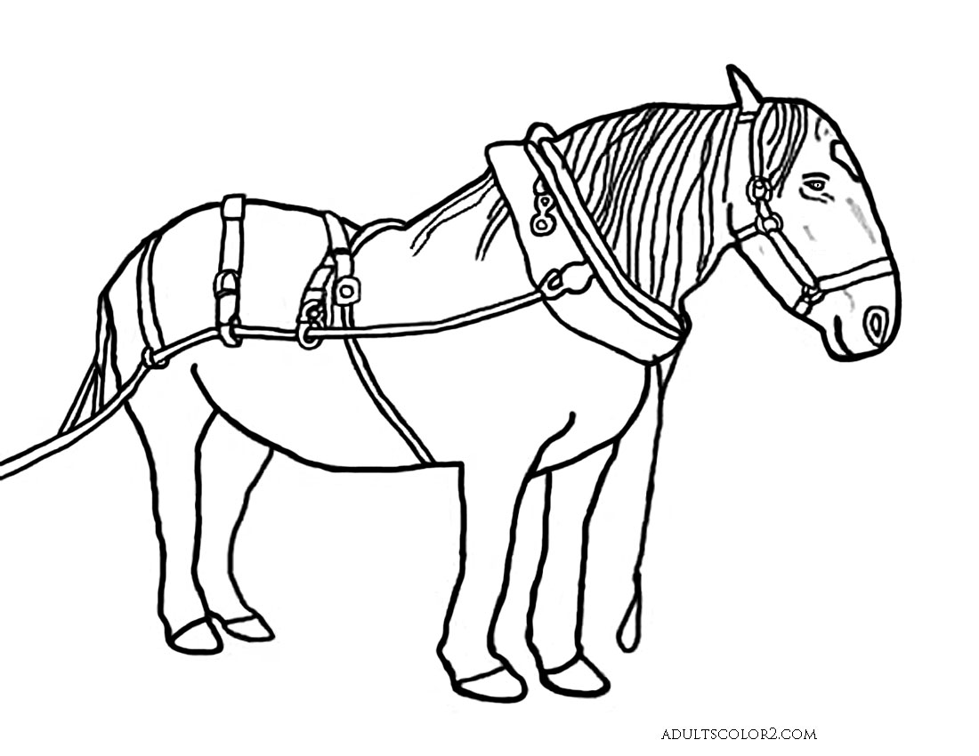 Horse coloring pages pick and print your pony