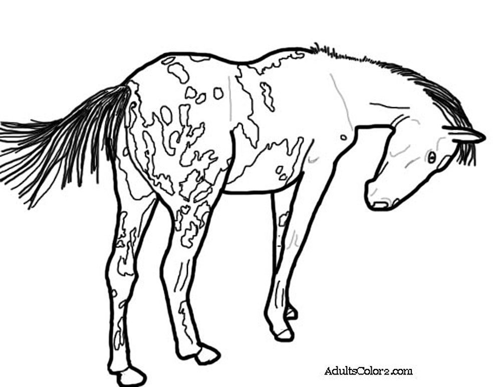 Horse coloring pages pick and print your pony