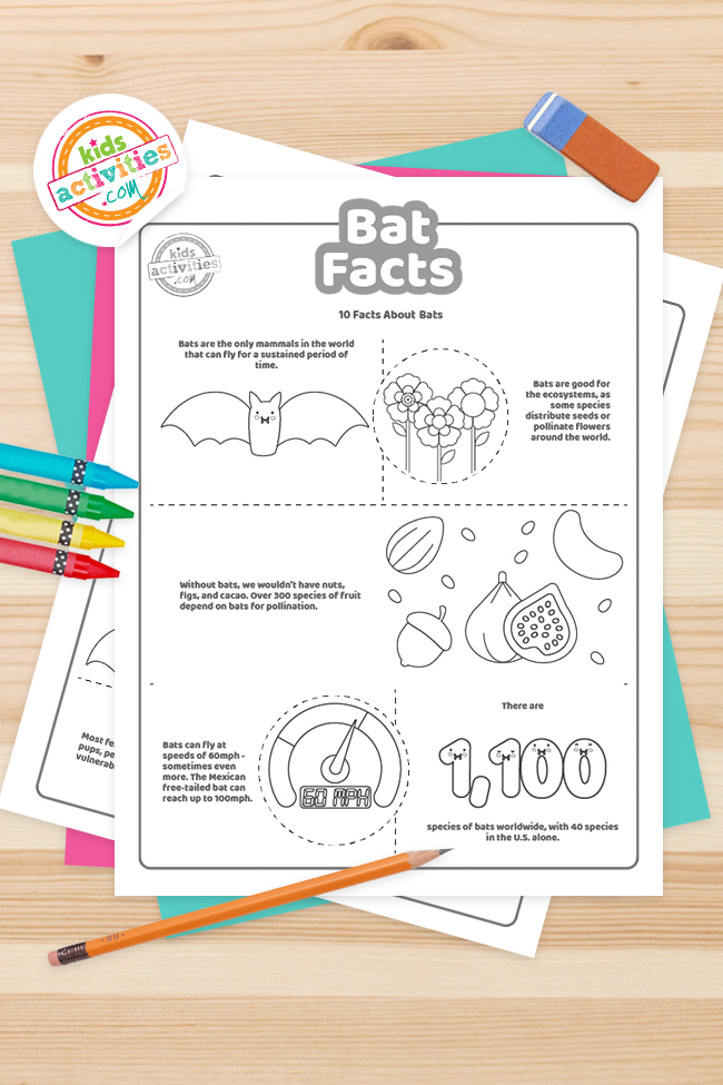 Fun bat facts for kids to print and learn kids activities blog