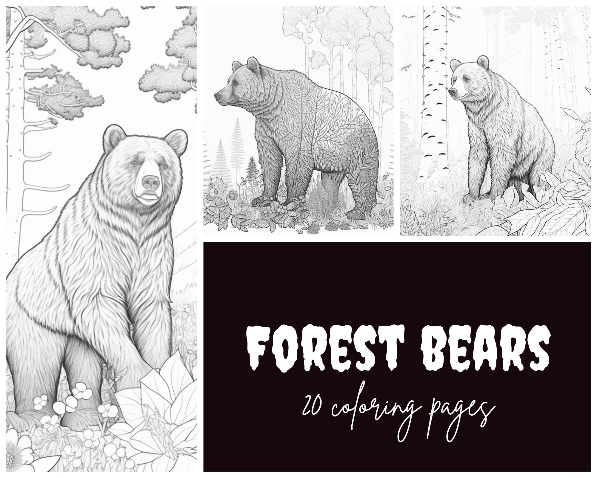 Realistic forest bear coloring pages set of