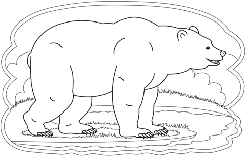 Bear coloring page free printable coloring pages