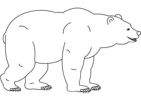 Funny bear coloring page free printable coloring pages