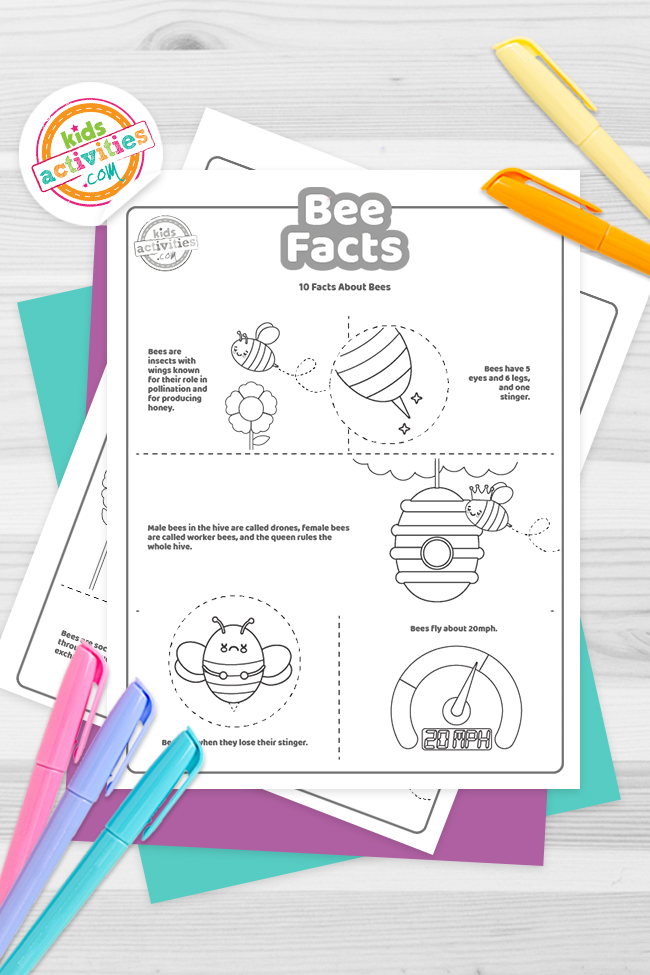 Fun bee facts for kids to print and learn kids activities blog