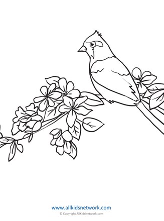 Bird coloring page all kids network