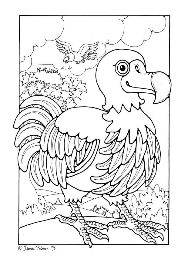 Coloring page dodo