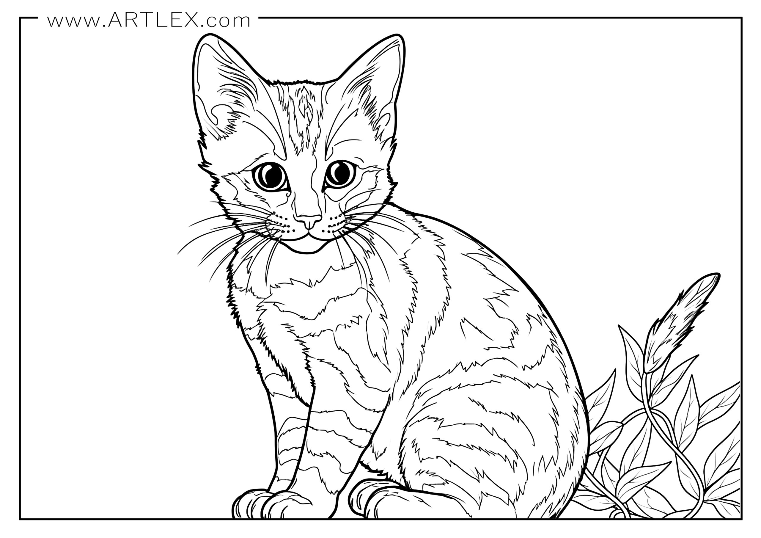 Best cats coloring pages free and printable â