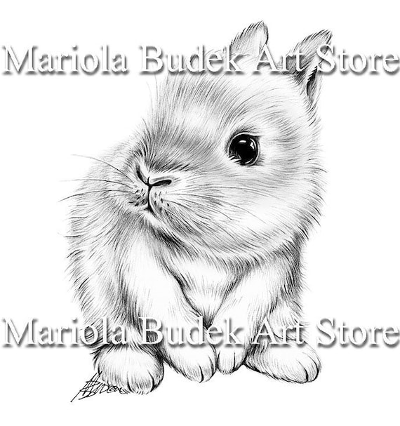 Bunny mariola budek coloring page printable adult kids cute animal colouring pages instant download grayscale lineart illustration pdf