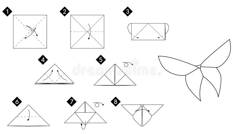 Step by step instructions origami butterfly stock vector