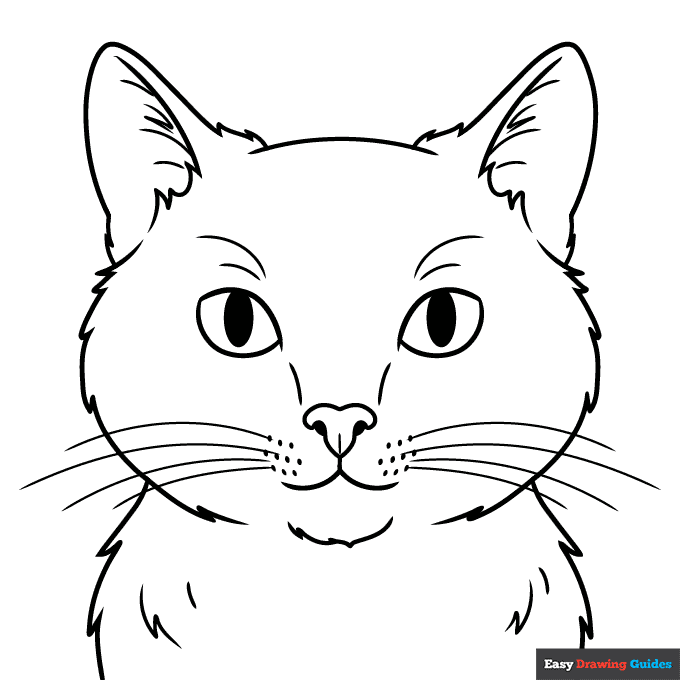 Realistic cat face coloring page easy drawing guides