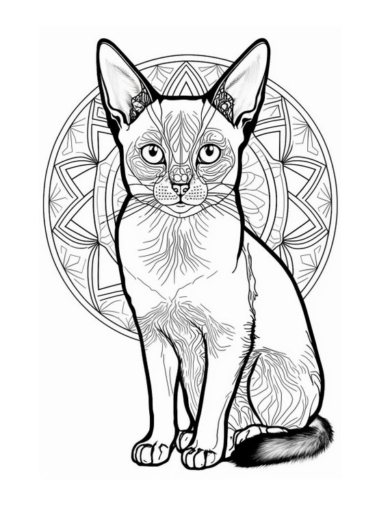 Cat mandala coloring pages instant download grayscale coloring pages printable pdf coloring pages