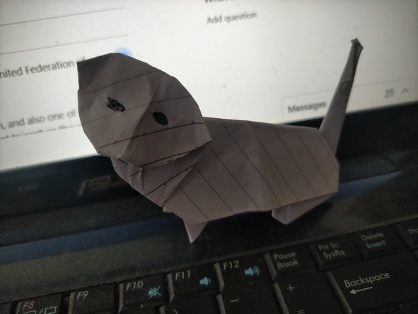 How to make an origami cat