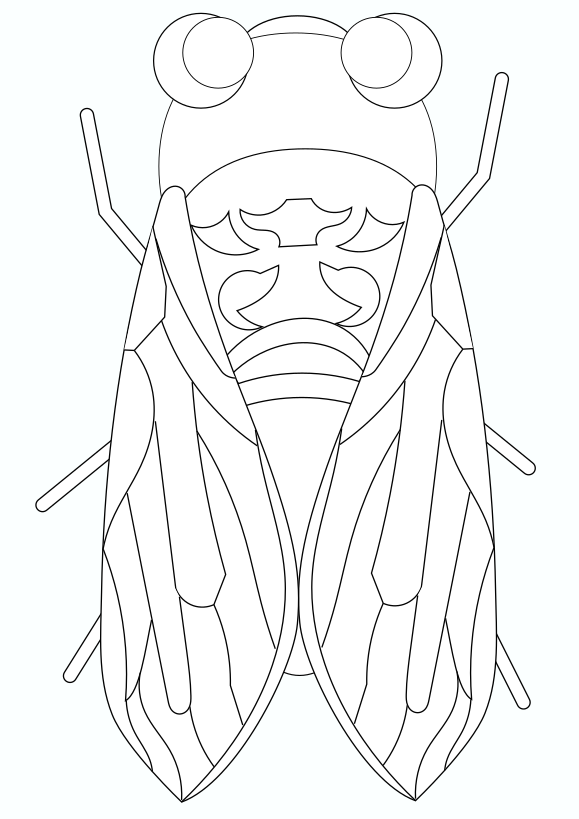 Cicada coloring pages free printable nurie