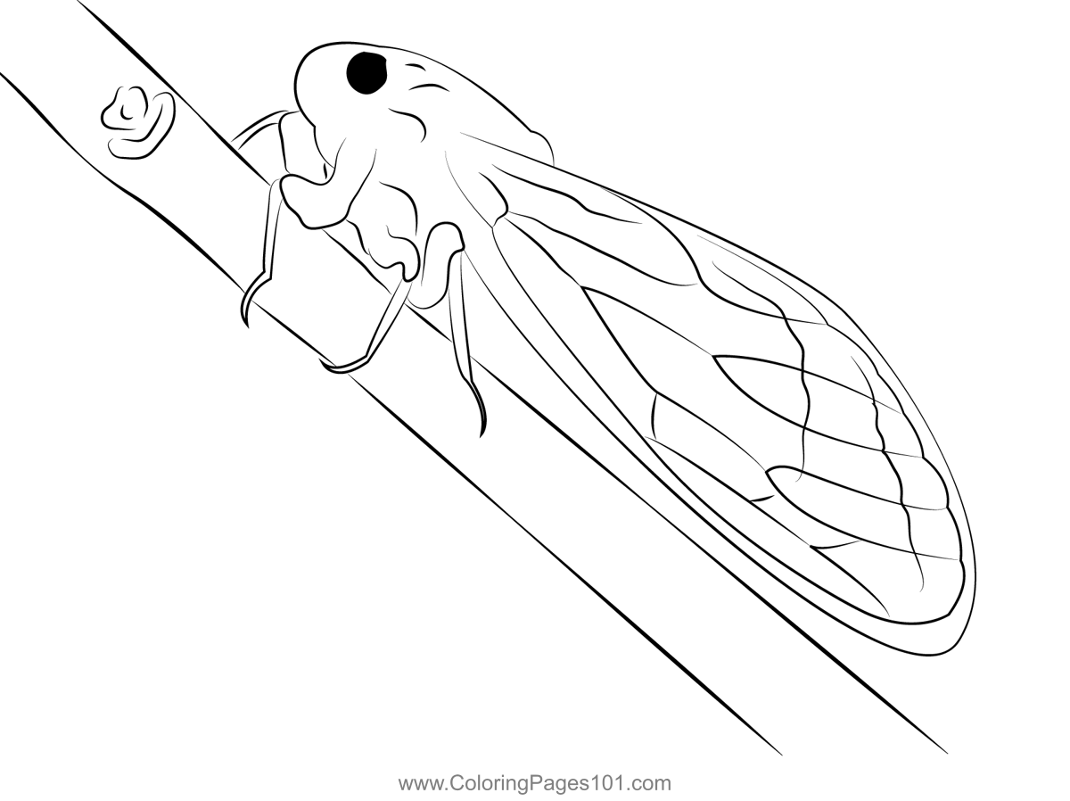 Cicada up tree coloring page tree coloring page coloring pages printable coloring pages