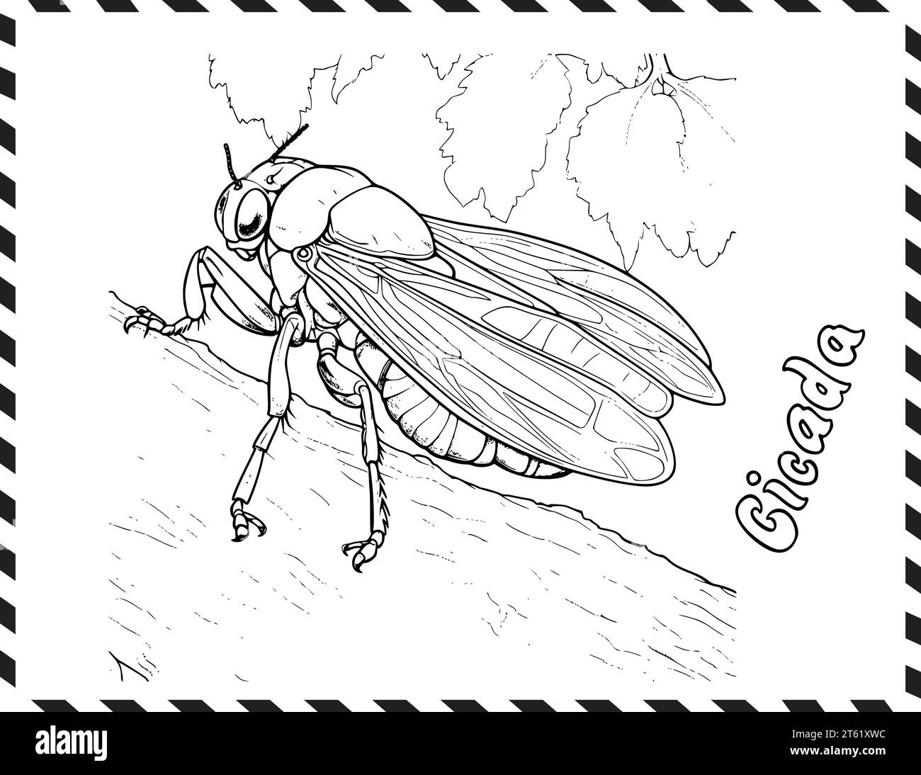 Cicada vector vectors hi