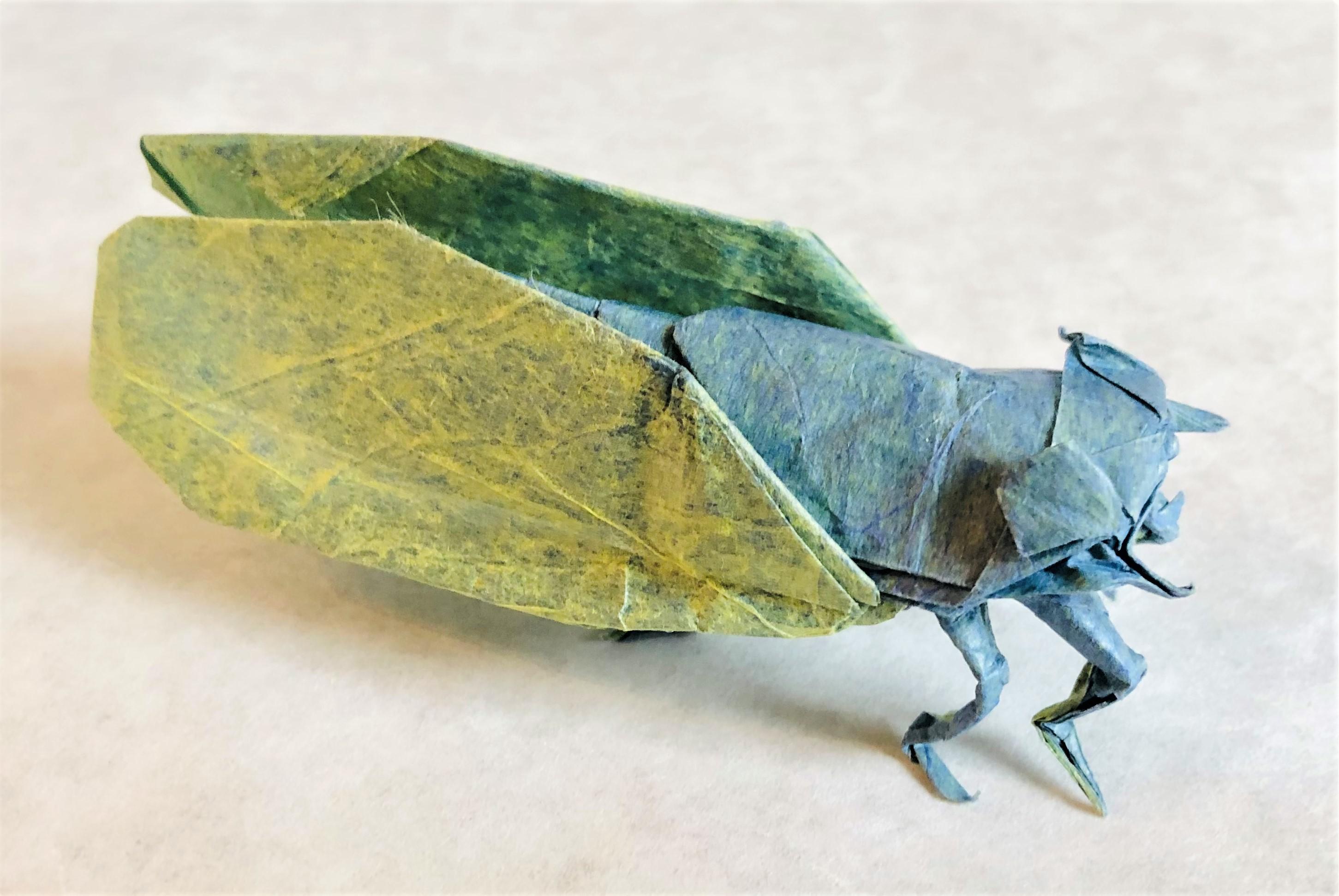 Periodical cicada designed by robert lang and folded by me rorigami