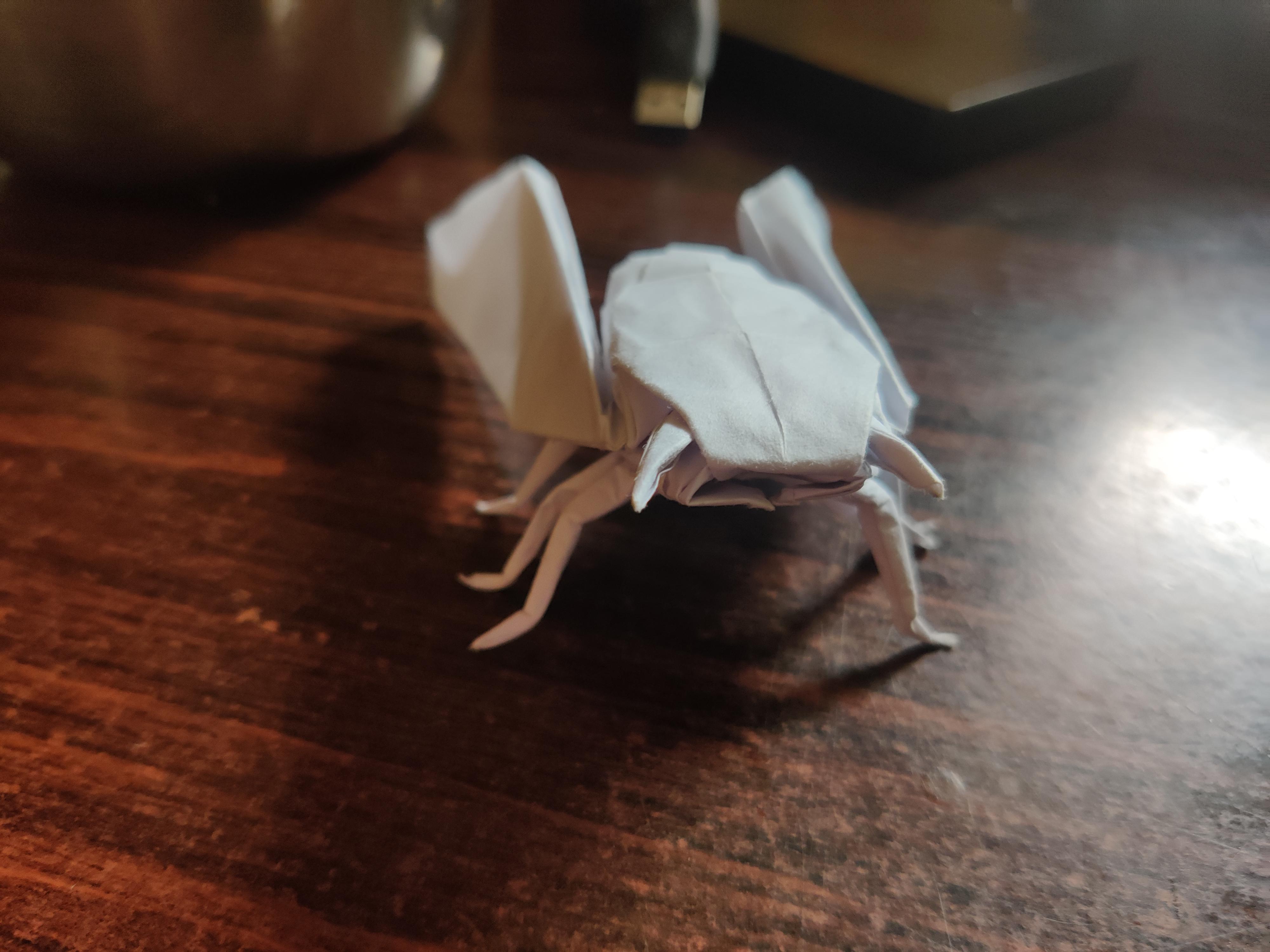 Cicada designed by robert lang and folded by me i definitely didnt expect this model to be so plicated before starting because i just saw the finished model and decided to fold