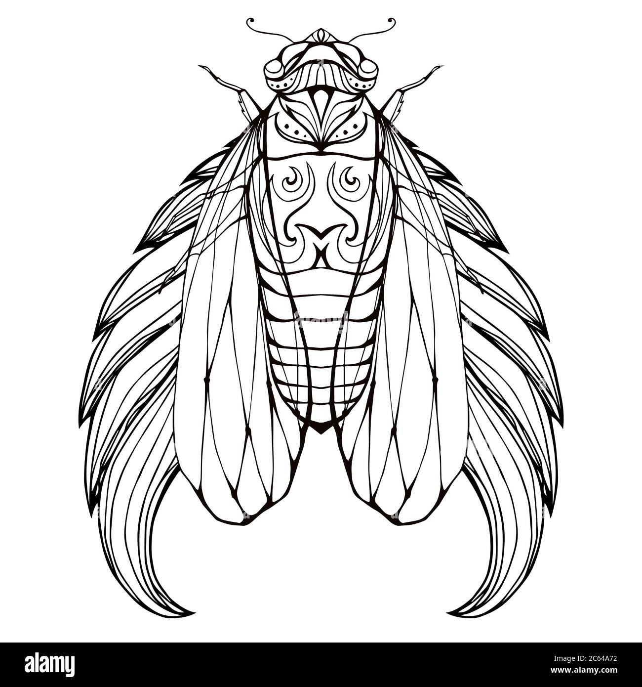 Cicada illustration cut out stock images pictures