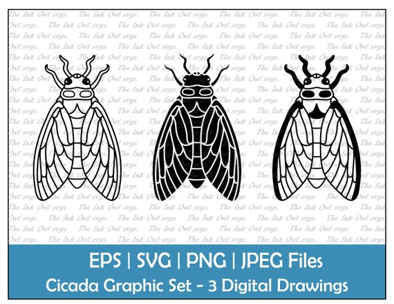 Cicada insect vector clipart outline stamp drawing graphic png jpg svg eps