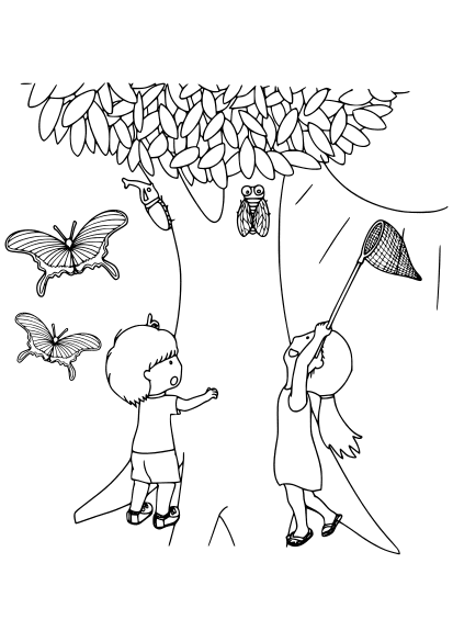 Cicada coloring pages free printable nurie