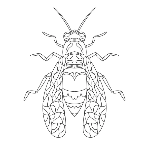 Cicada vector images