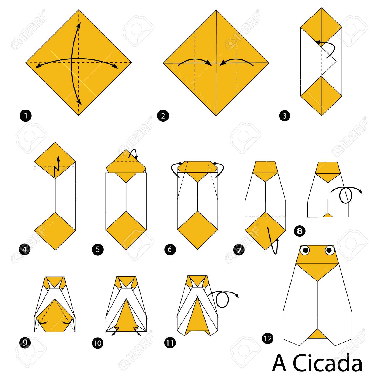 Step by step instructions how to make origami a cicada royalty free svg cliparts vectors and stock illustration image