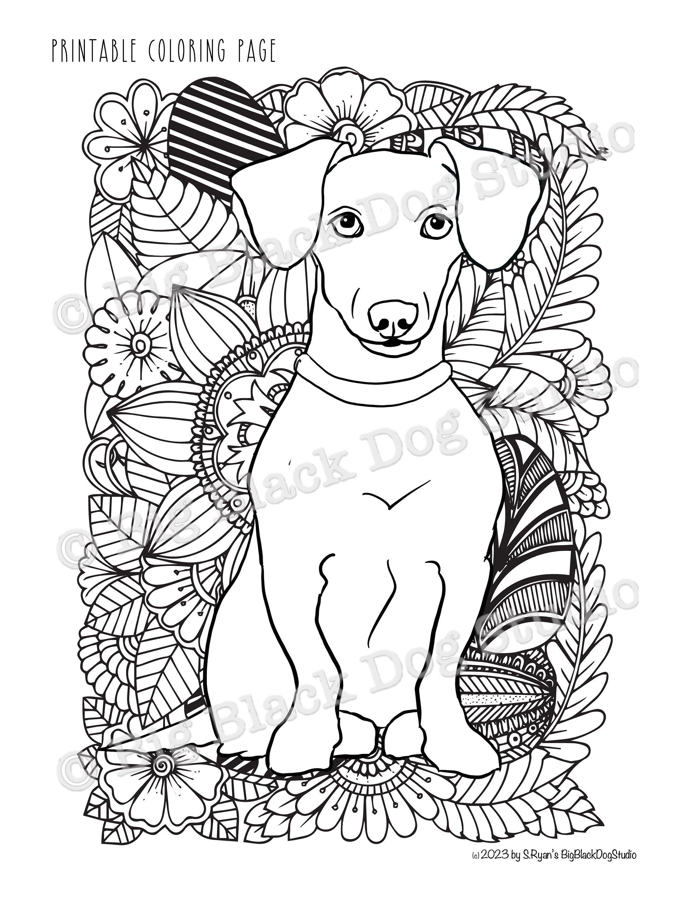 Dachshund coloring page digital download doxie