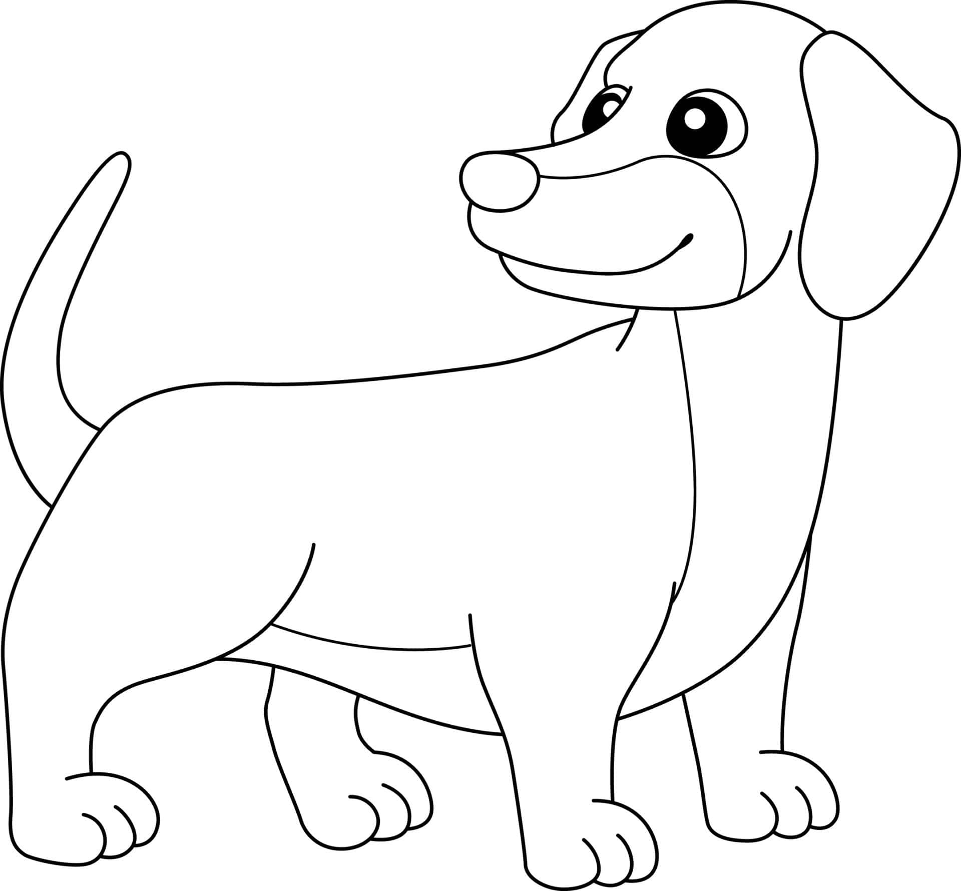 Download a dachshund coloring page