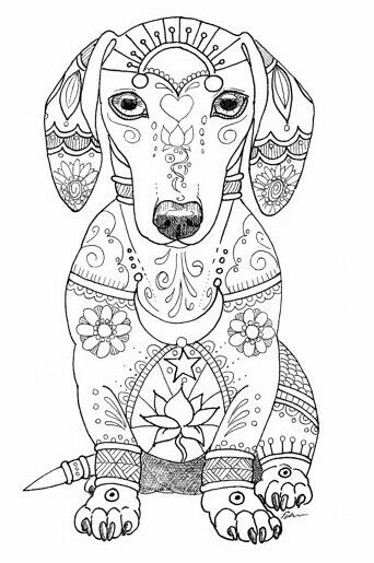 Dachshund animal coloring pages dog coloring page cat coloring book