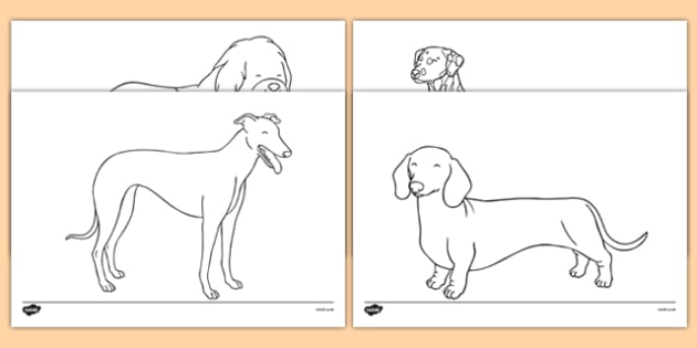 Pictures of dogs to lour in dog louring art activity